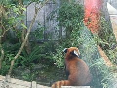 -石排湾郊野公园