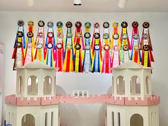 -青奢宠物·青奢猫舍