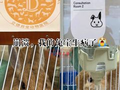 -立德异宠动物医院.兔鸟爬.内窥镜(天河店)