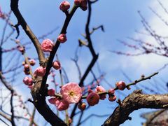 -兰州-西固陈记牛肉面·烧烤(山阴路店)