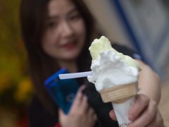 番石榴-柠檬车露(卖草地店)