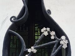 -汇龙潭