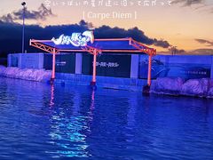 -三亚海昌梦幻海洋不夜城