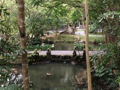 -七仙岭君澜度假酒店·桃源小馆中餐厅