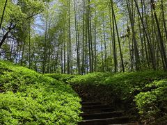 -天目湖涵田度假村