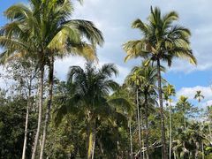 -中国科学院西双版纳热带植物园