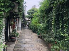 -运河游船(武林门码头)