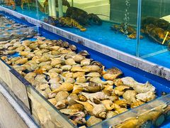 -神洲四海大酒楼(王府井澳门中心店)