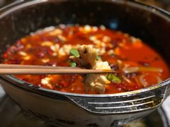 -重庆乌鱼庄·龙滋鲜(青羊大道店)