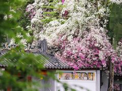 -光明小镇欢乐田园