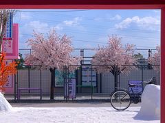 -Pink Me粉我·咖啡&摄影基地