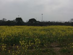 -长兴岛郊野公园农场食堂