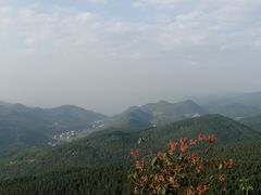 -武陵山森林公园