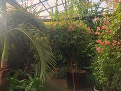 -呀路古热带植物园