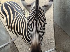 -卡塞拉自然公园