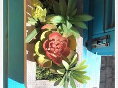 -半坡九号老挝冰咖啡