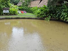 -大象粑粑造纸公园