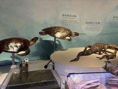 -中国湿地博物馆