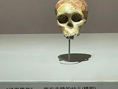 -长江文明馆