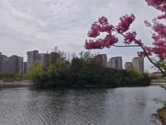 -新江湾城公园