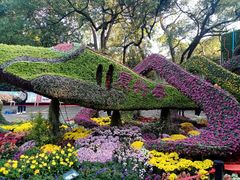 -杭州植物园