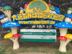 -大连森林动物园