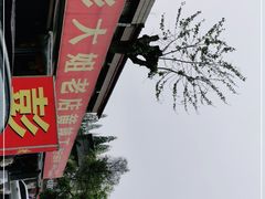 -彭大姐老店黄辣丁(新津店)