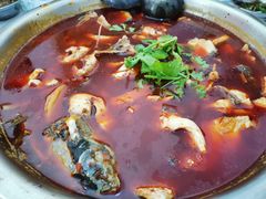 -重庆特色冷锅鱼(武大店)