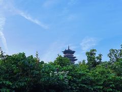 -杭州半山国家森林公园