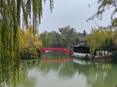 -扬州大运河文化旅游度假区·盆景园