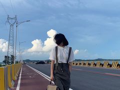 -汕尾风车岛