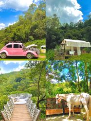 -花漾摄影优选工作室(东莞原创作品店)