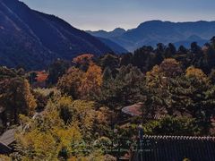 -潭柘寺景区
