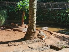 -海南热带野生动植物园