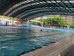 -牡丹游泳馆(金山馆)