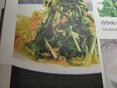 虾皮鸡毛菜-雲蜀龙阁·金牌水煮鱼(方庄店)