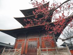 -广富林郊野公园