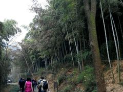 -上海佘山国家森林公园西佘山园