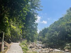 -广州白江湖森林公园