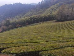 -敬亭山风景名胜区