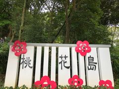 -广州市流溪河国家森林公园