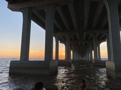 -宝安西湾红树林湿地公园