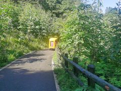 -武陵山森林公园