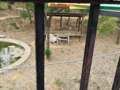 -石家庄市动物园