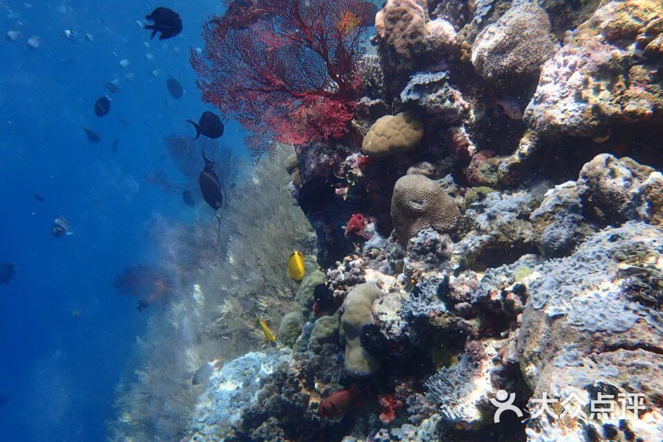 海底大断层图片 - 第5张