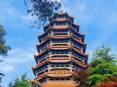 -铁山坪森林公园