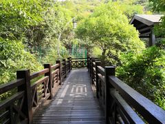 -白马涧龙池景区