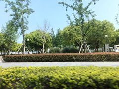 -龙美术馆西岸馆-停车场