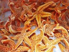 -星海汇海鲜烤肉火锅自助(二七广场百年德化店)