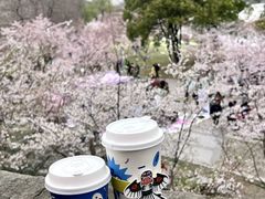 -Beans Solo豆号咖啡(百家湖花园店)